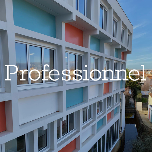 professionel